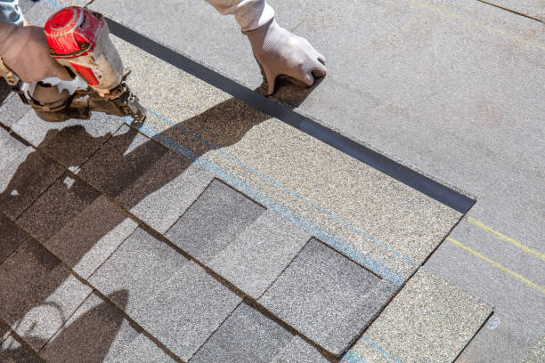 Best Gutter Installation and Roofing  in Freedom, PA